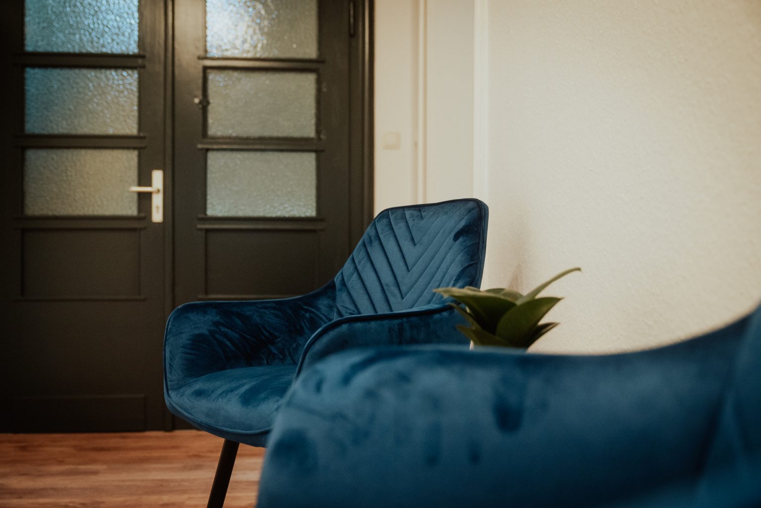 241213_MEDOPLAN_OFFICE_DSC04059-6