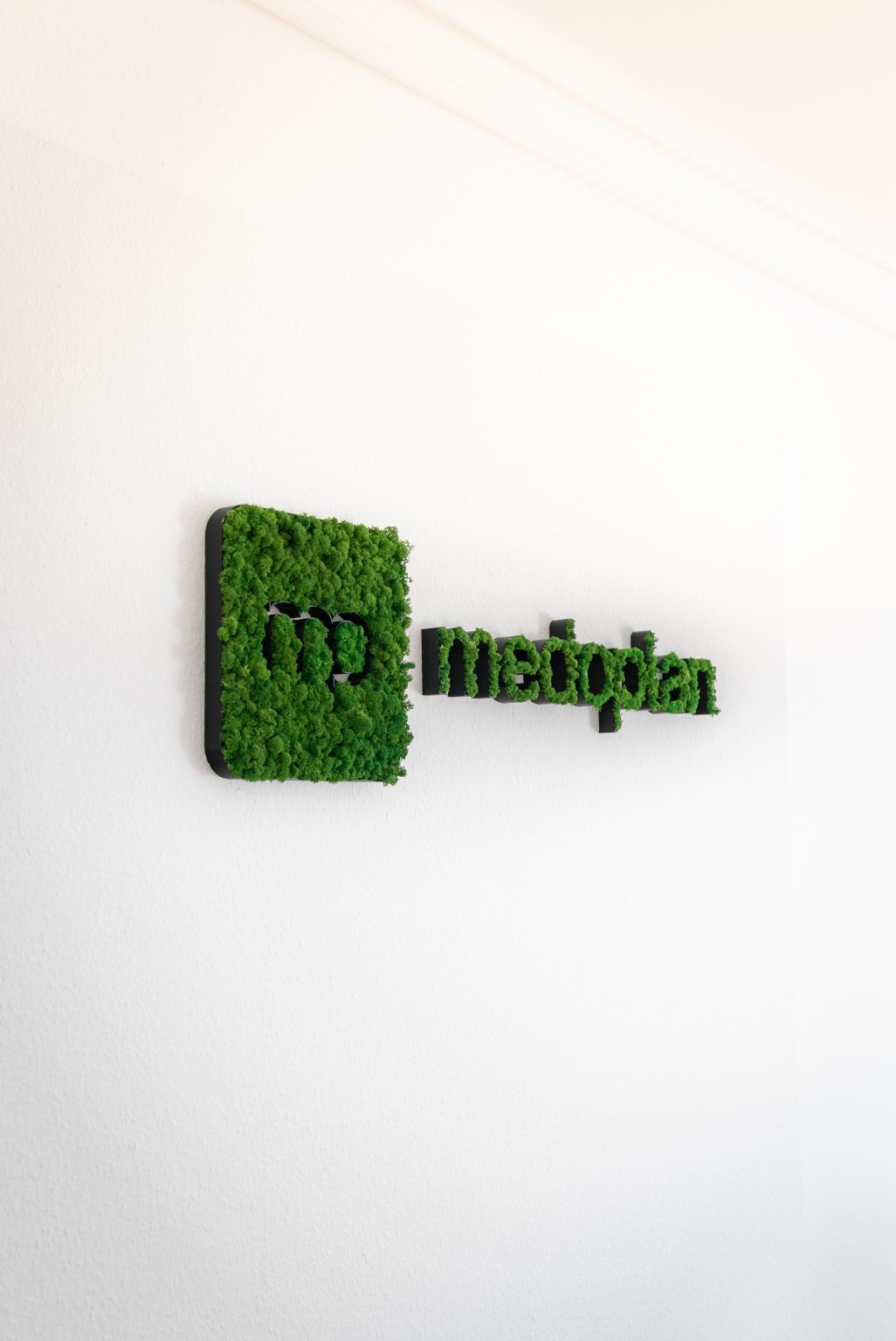 medoplan-Logo aus Moos an einer B&uuml;rowand