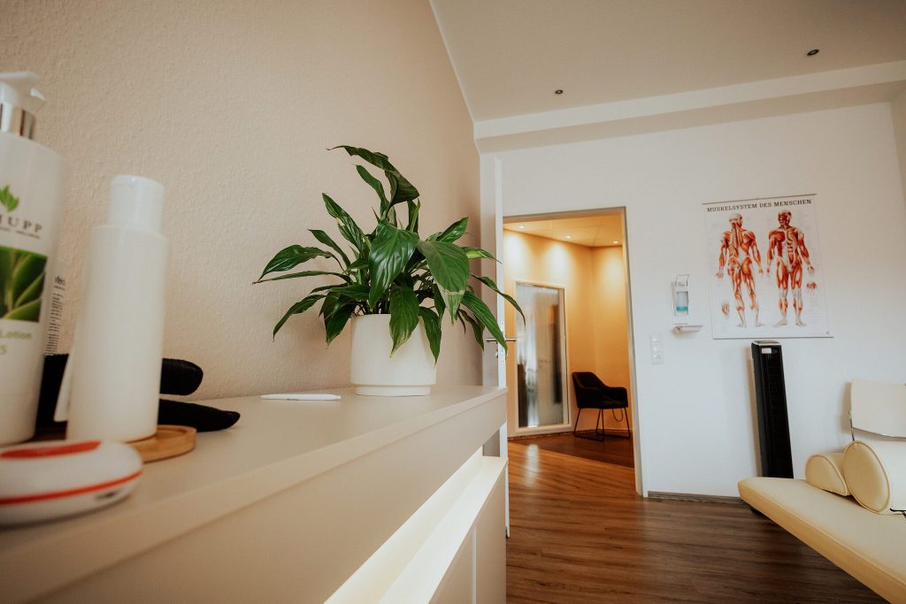 Empfangsbereich einer Therapiepraxis mit Pflanze und anatomischer Wandtafel
