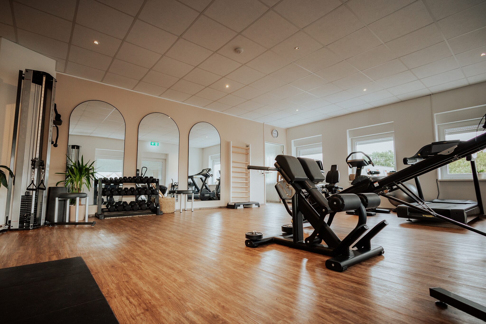 Trainingsfl&auml;che einer Therapieeinrichtung mit Ger&auml;ten, Sprossenwand und Tageslicht